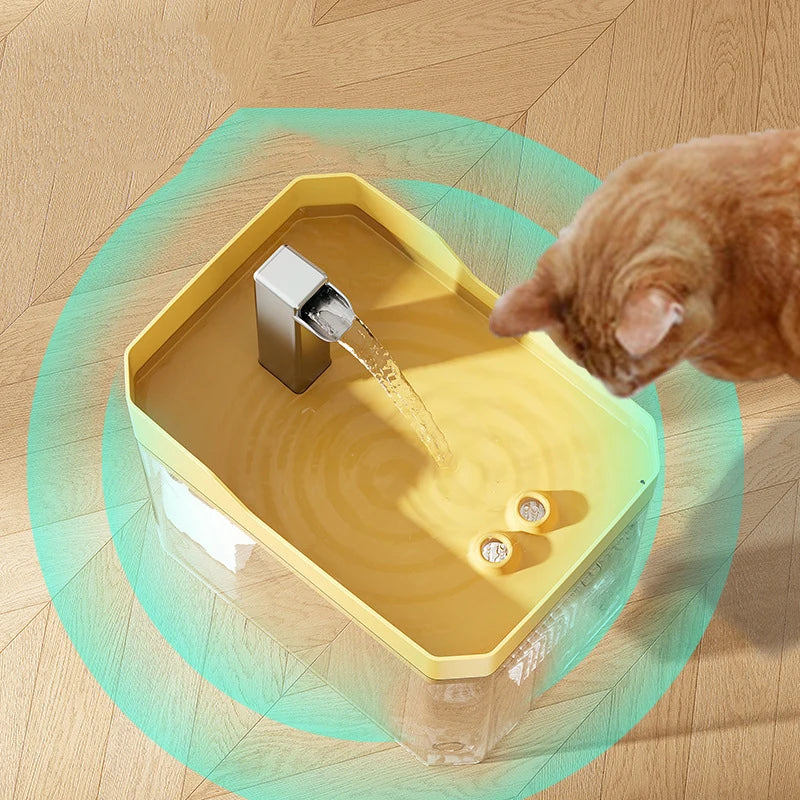 HOT !!  transparent pet water dispenser plug-in automatic